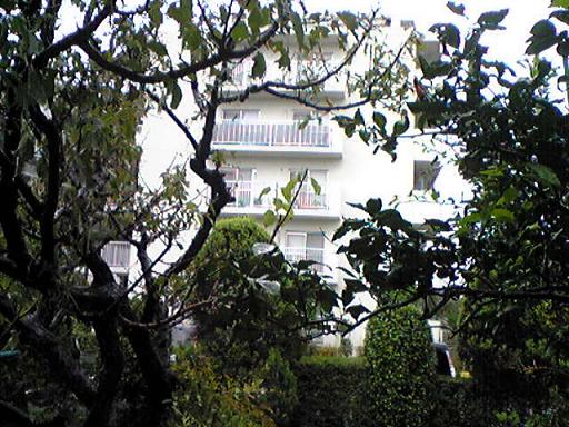 c0077465_20143432.jpg