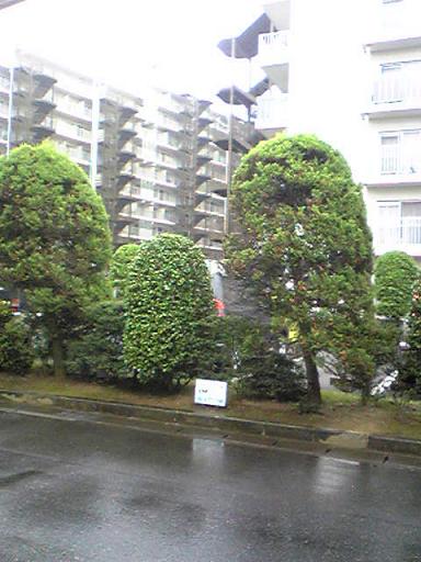 c0077465_2015316.jpg