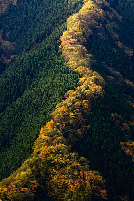 大峰山系 行者還岳 まっちゃんのｐｈｏｔｏブログ