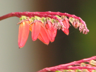 d0050472_13173410.jpg