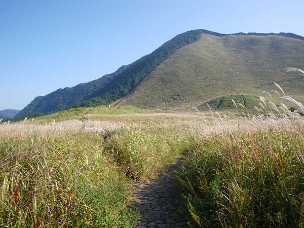 曽爾高原～亀山～後古光山～古光山_c0002874_13551981.jpg