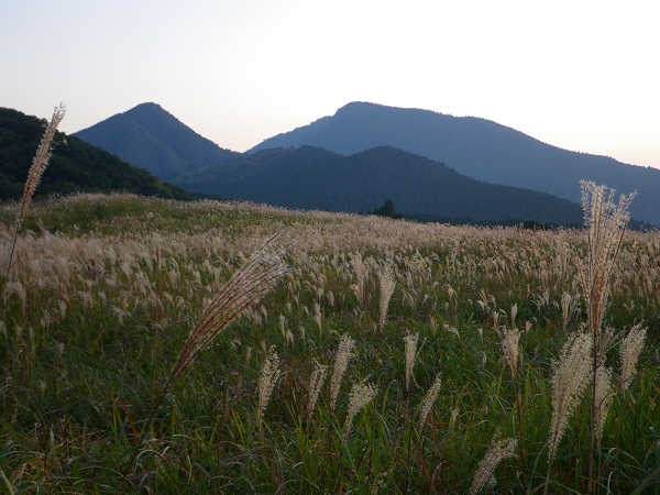 曽爾高原～亀山～後古光山～古光山_c0002874_15204645.jpg