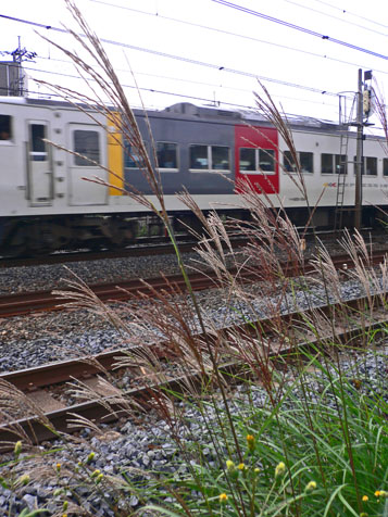 e0112077_7435857.jpg