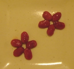 c0135480_0261128.jpg
