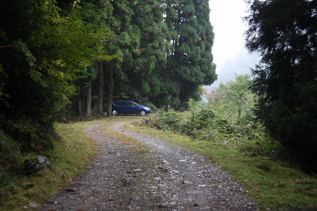e0024081_1756233.jpg
