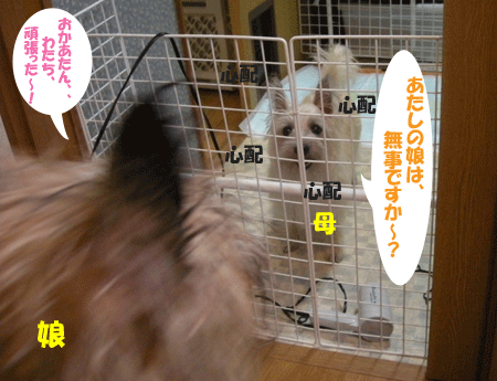 e0066883_195420100.gif