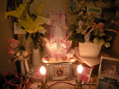 e0066883_2024829.gif