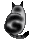 c0132387_044148.gif