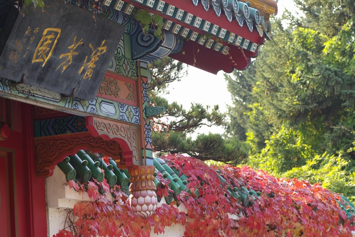 瀋芳園 百合が原公園 世界の庭園 F S Style 札幌 瀋芳園 百合が原公園 世界の庭園 F S Style 札幌