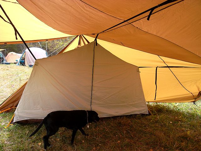 a0093592_69031.jpg