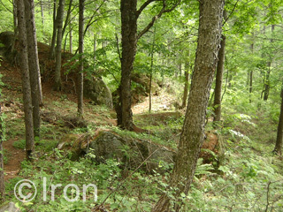 c0173794_20253754.jpg