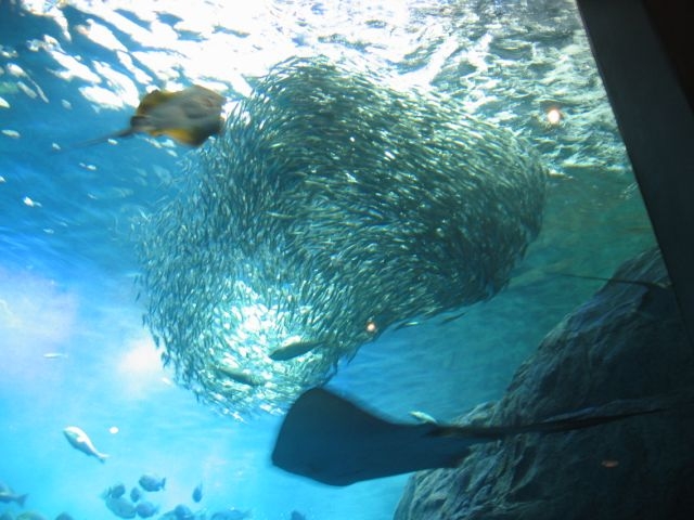 c0135795_29670.jpg