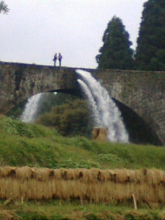 c0052304_20115686.jpg