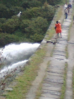 c0052304_2035975.jpg