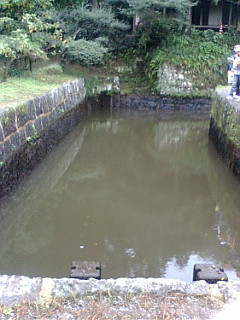 c0052304_2094278.jpg