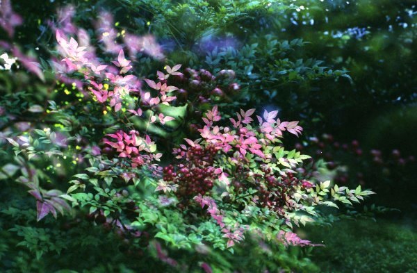 f0177305_2027369.jpg