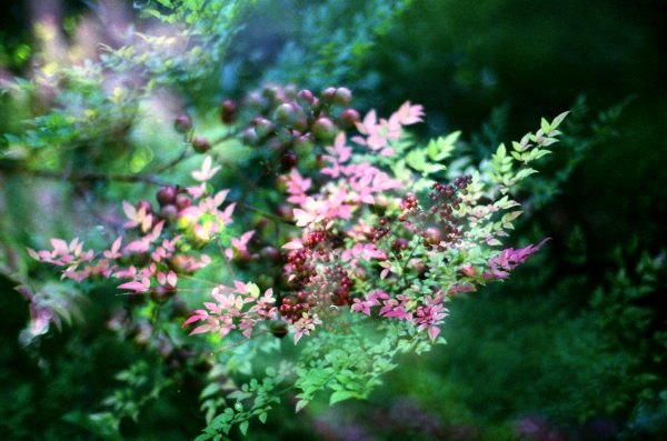 f0177305_20311560.jpg