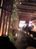 a0098307_0441717.jpg