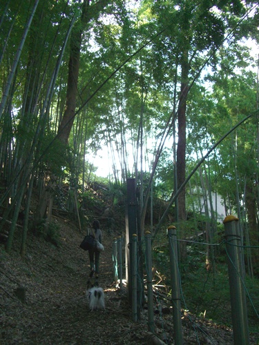 c0065512_230357.jpg