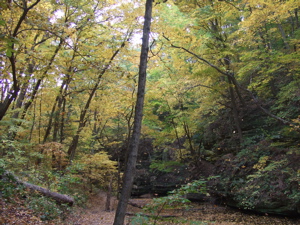 f0102814_1111744.jpg