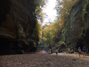 f0102814_11211517.jpg