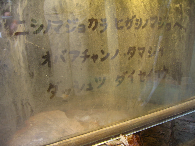 b0093515_749314.jpg