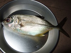 夜釣り~♪_a0043520_954592.jpg
