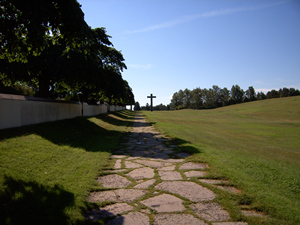 f0147922_8461012.jpg