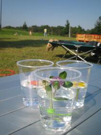 c0113733_24459.jpg