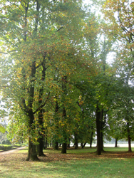 f0038336_85373.jpg