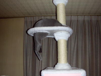 やっぱり仲良し?_d0152937_21135169.jpg