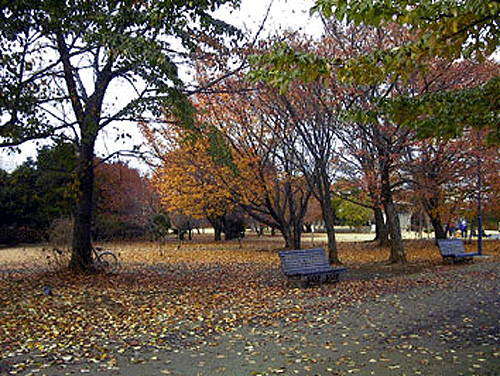 e0142838_839219.jpg