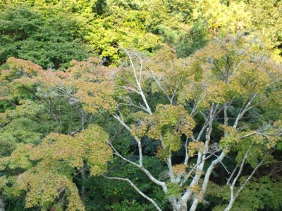 c0119142_22442621.jpg