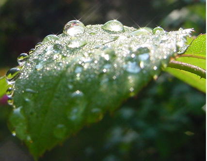 e0126350_2105811.jpg