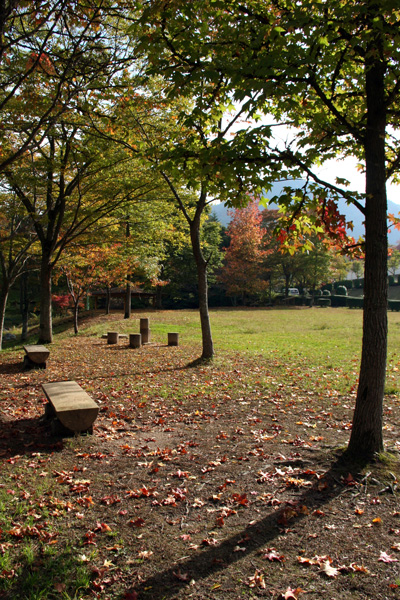 f0147858_1657295.jpg