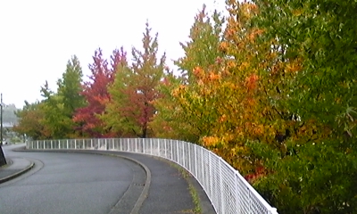 e0143667_186532.jpg