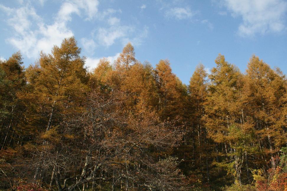 「警官の血」ロケ地 福ちゃん荘周辺その1 大菩薩峠その4_a0107574_16284225.jpg