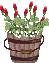 b0136683_10384513.gif