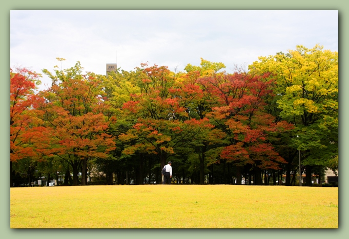 玉川町公園～大和町広場_f0079990_10403973.jpg