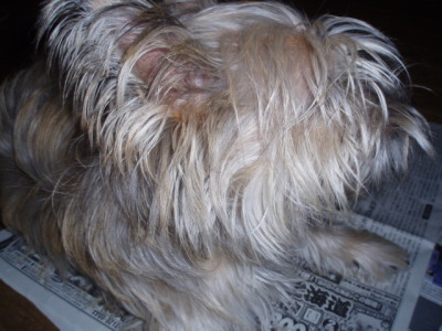 c0086895_23574621.jpg