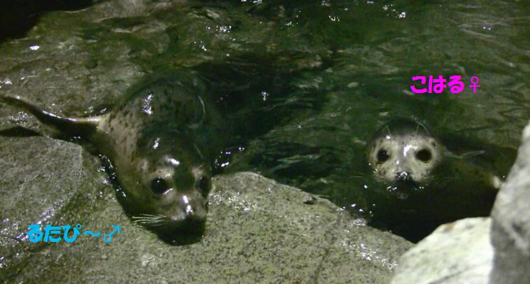 c0155902_223234.jpg