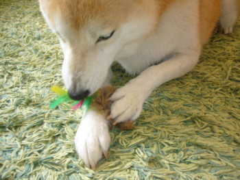 e0131506_1111919.jpg