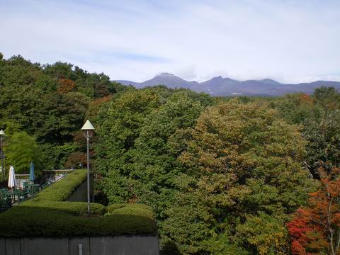 c0137507_16255365.jpg