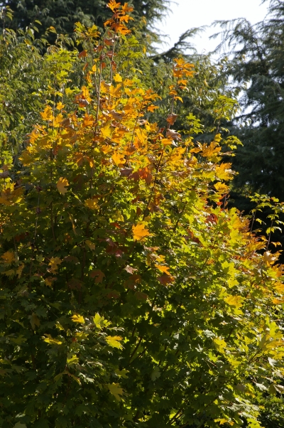 c0156908_0161738.jpg
