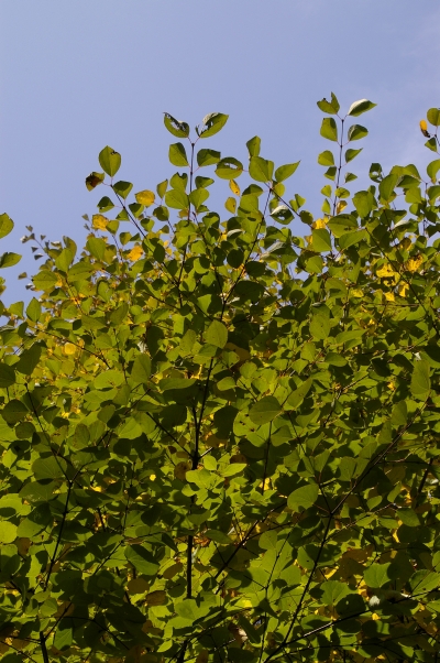 c0156908_0163036.jpg