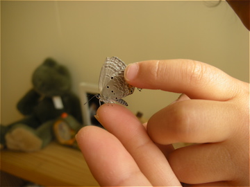c0145209_23281377.jpg