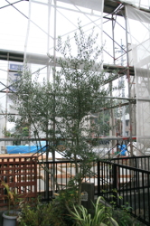 e0102713_845719.jpg