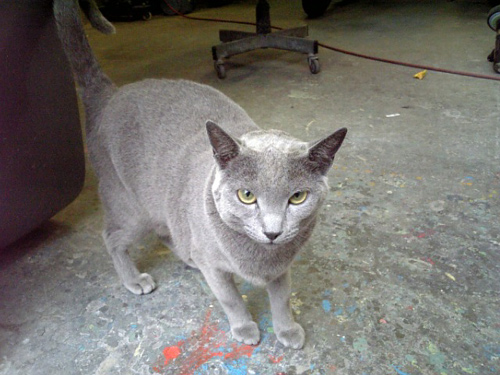 NewComer_d0130115_22412062.jpg