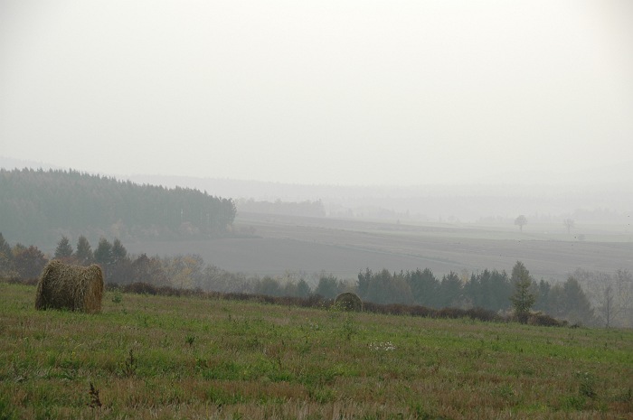 b0152416_8593994.jpg