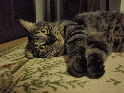 c0145016_21175010.jpg